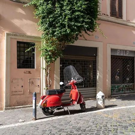 Colosseum Free Netflix & Ac Rome